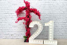 Load image into Gallery viewer, Miss Bougainvillea Artificial Tree