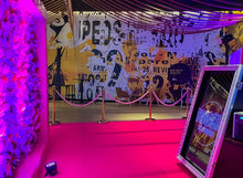 Load image into Gallery viewer, Bollard Rope Pink