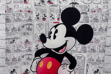 Load image into Gallery viewer, Mickey Mouse Fabric Backdrop