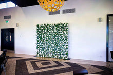 Load image into Gallery viewer, Miss Arya Flower Wall