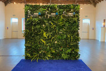 Load image into Gallery viewer, Tropical Wall