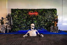 Load image into Gallery viewer, Halloween-themed setup with skeletons and decorations in a room.