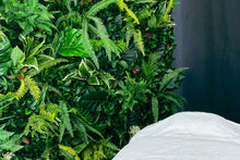 Load image into Gallery viewer, Tropical Wall