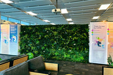 Load image into Gallery viewer, Tropical Wall