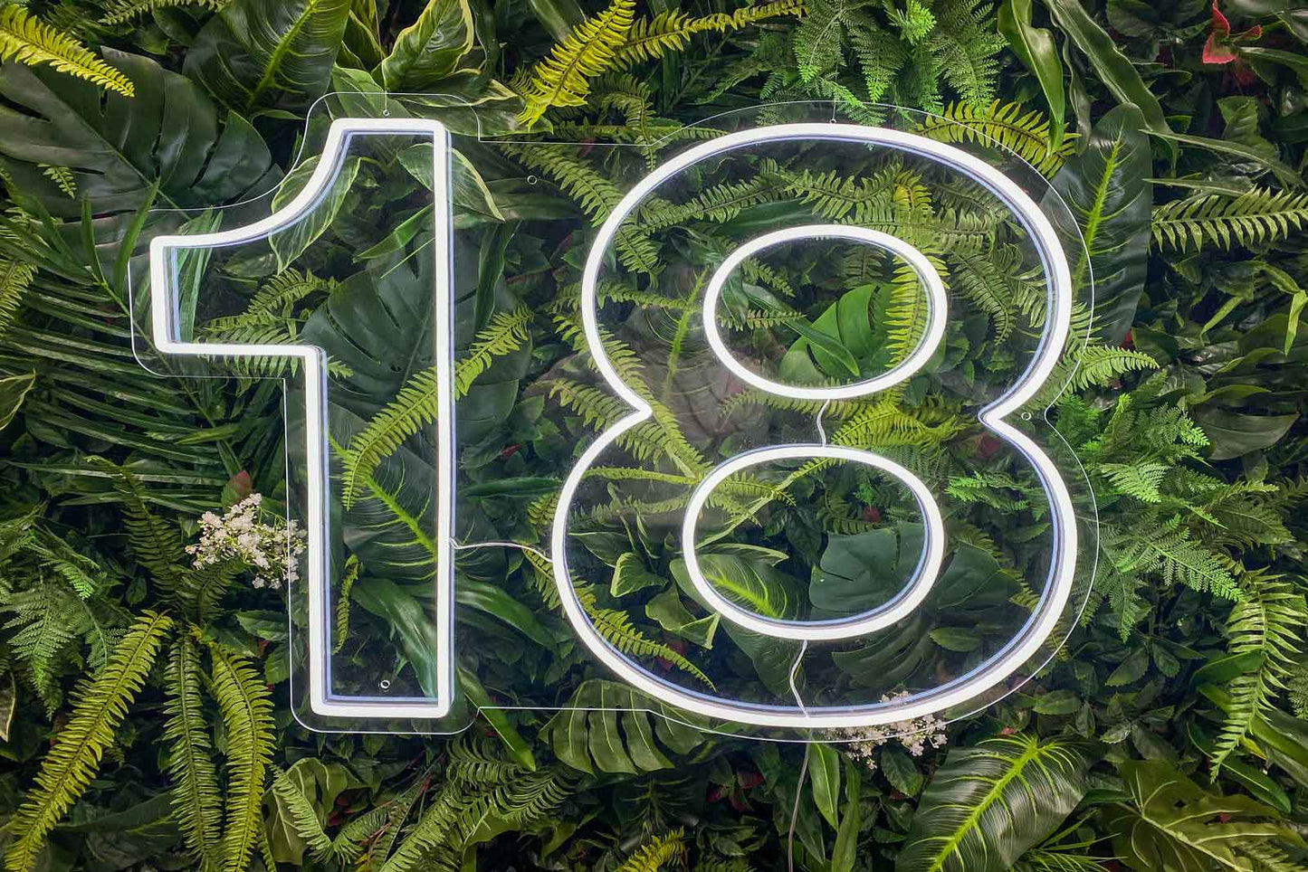 Number 18 neon sign hire for 18th birthday parties or milestone celebrations