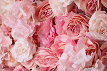 Load image into Gallery viewer, light pink flowers