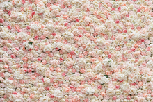 Load image into Gallery viewer, Miss Emily - Flower Wall