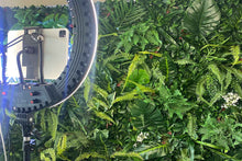 Load image into Gallery viewer, Tropical Wall