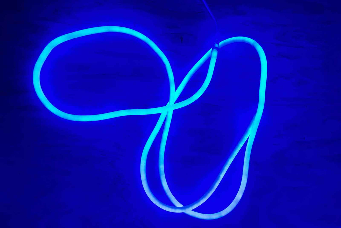 Blue Rope Light Hire Auckland | Event Lighting Rental NZ – Mad Dog ...