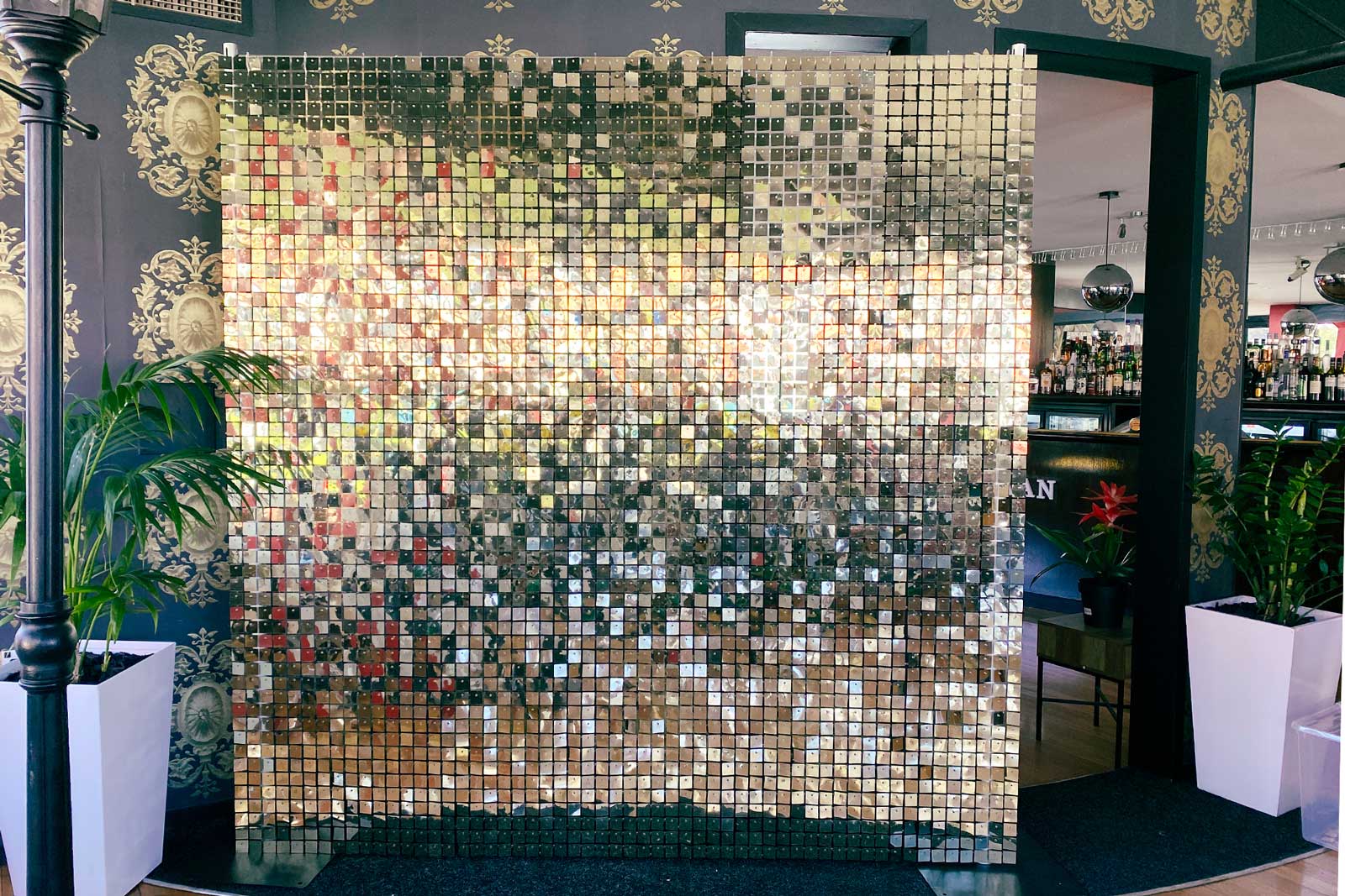 Shimmer wall and balloon garland creating a stylish backdrop for an Auckland corporate event.