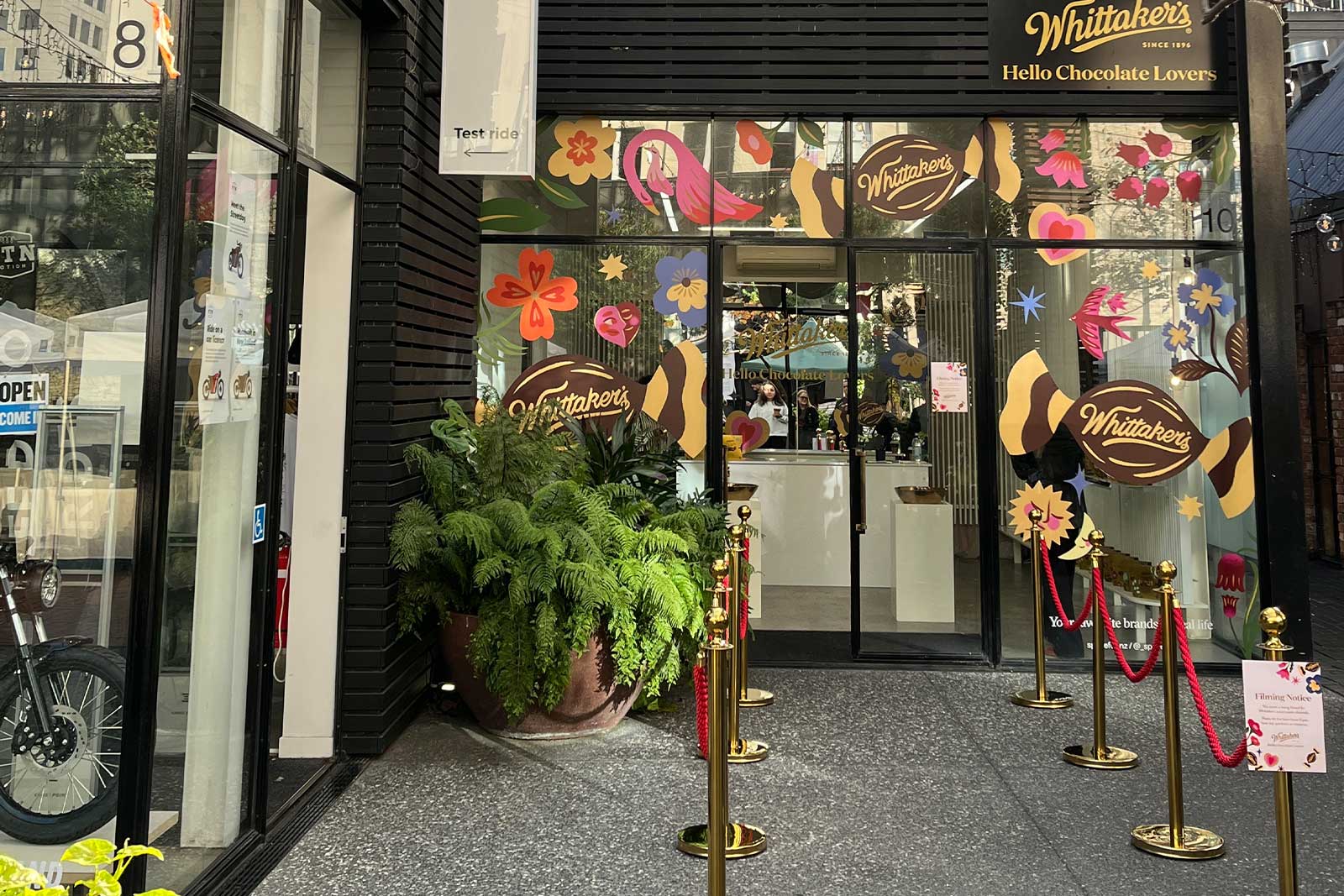 Gold bollards with red velvet ropes set up for event entrance and crowd control in Auckland.