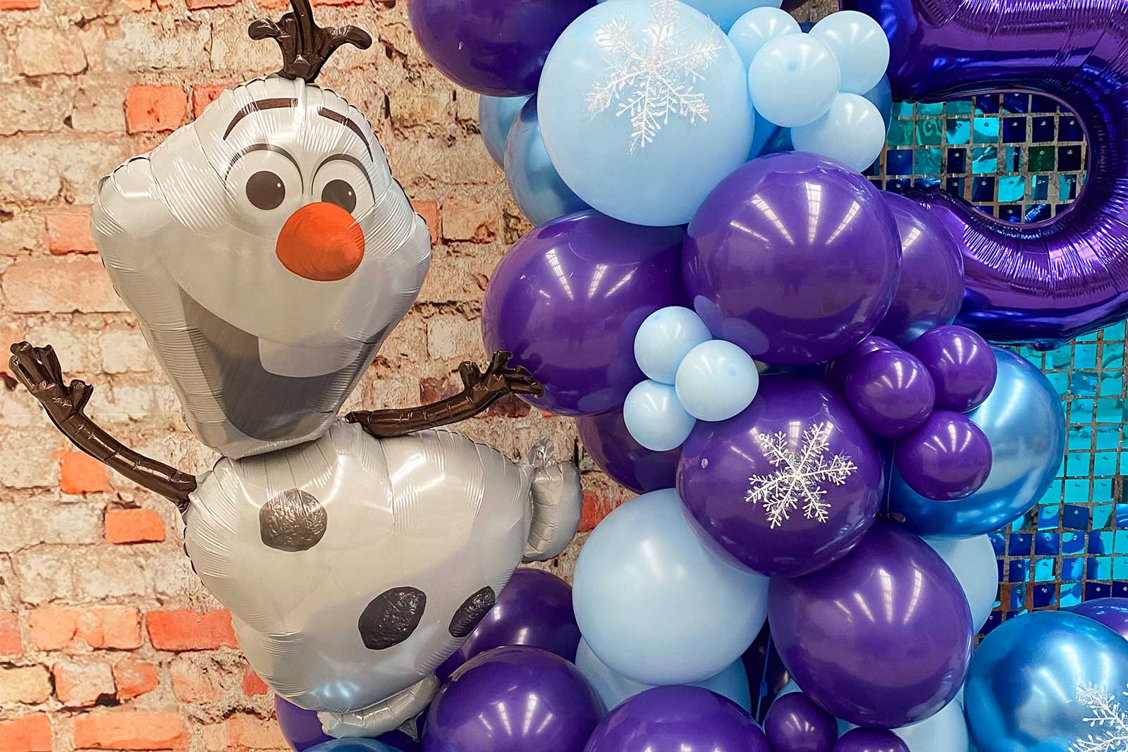 Elsa and Anna Frozen party backdrop for celebrations