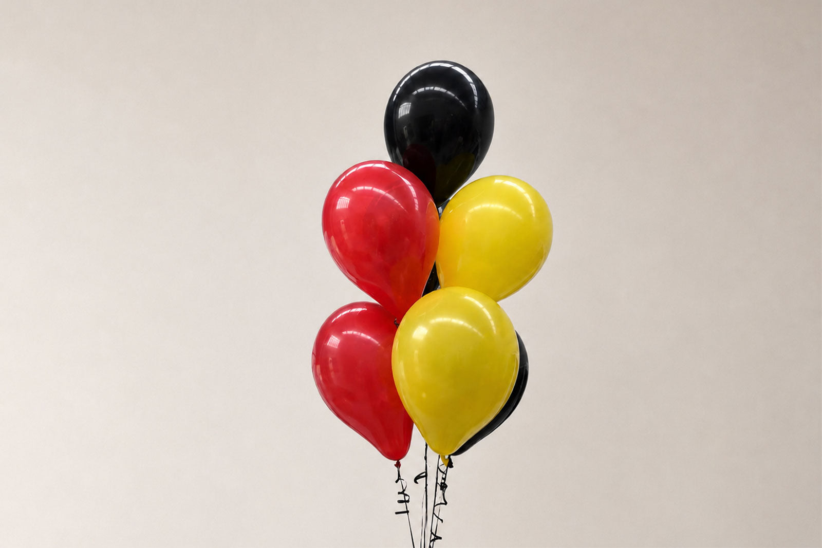 Helium balloon bunch with colourful balloons for event decoration and celebrations