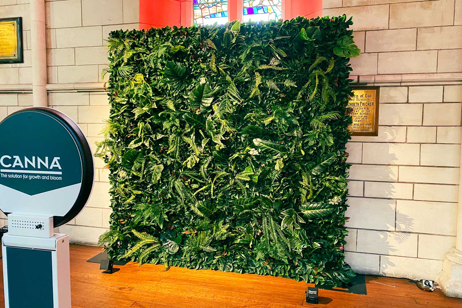 Premium tropical greenery wall hire for weddings, corporate functions and private parties throughout New Zealand