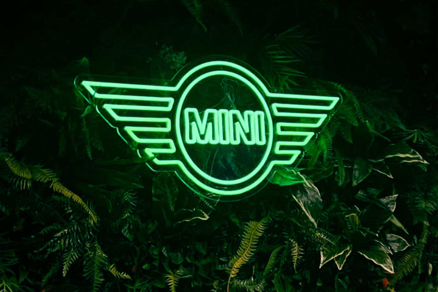Palm leaf green wall backdrop for hire in New Zealand, perfect for photo booths and themed events
