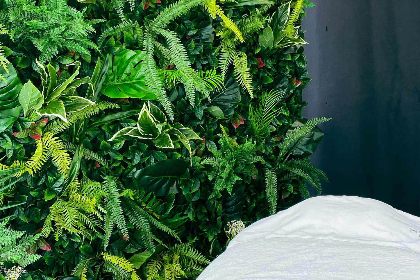 Tropical jungle wall backdrop with dense greenery, ideal for weddings, parties and event hire in Auckland