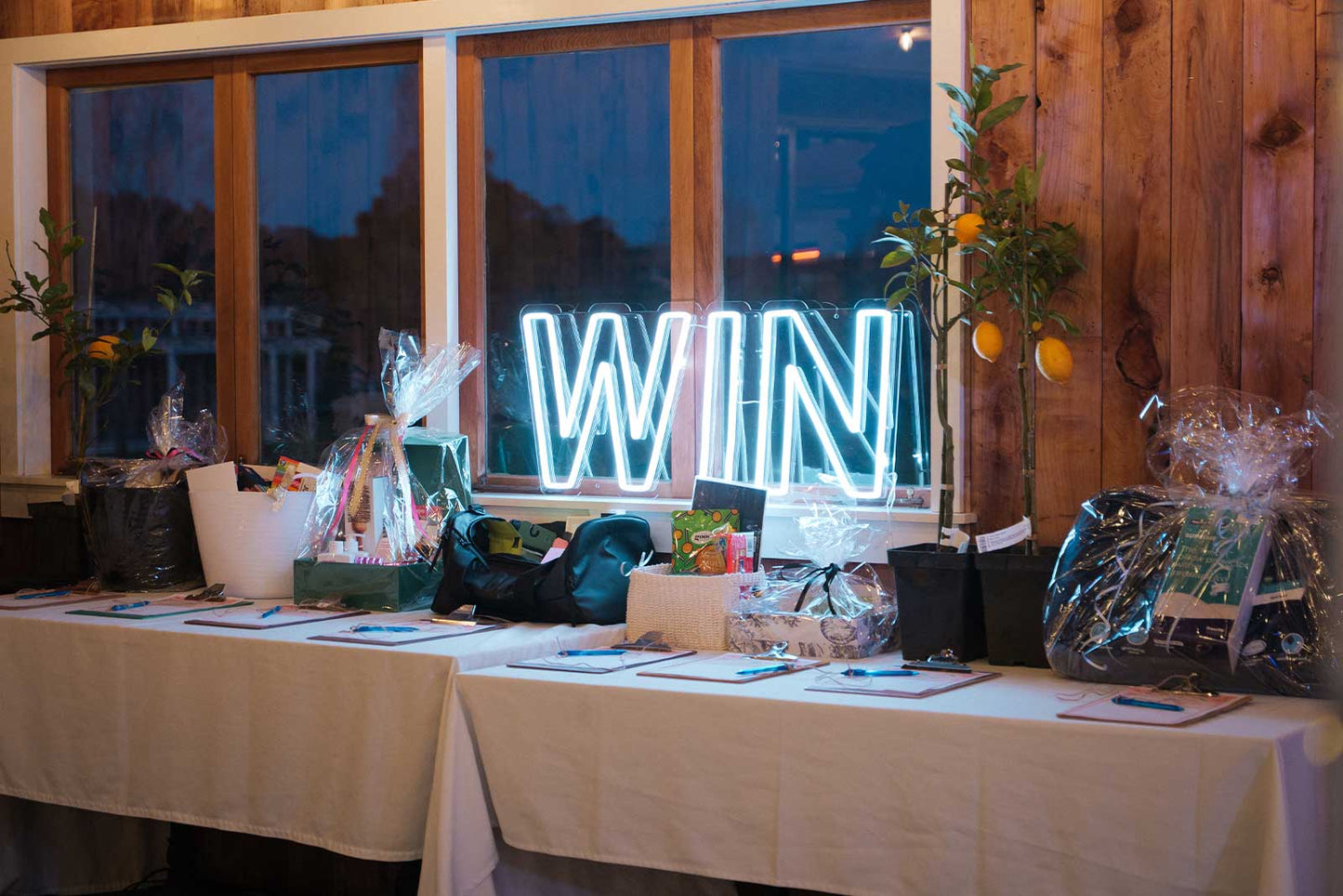 “WIN” neon sign hire for sports events, competitions, celebrations and event backdrops in Auckland by Mad Dog Backdrops.