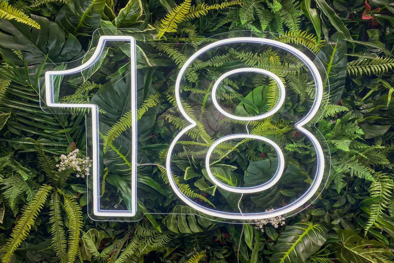 Number 18 neon sign hire for 18th birthday parties or milestone celebrations