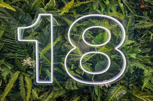 Number 18 neon sign hire for 18th birthday parties or milestone celebrations