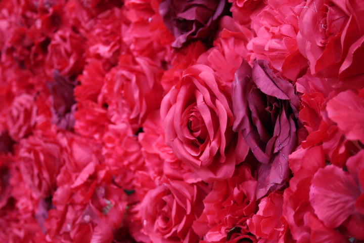 Miss Rosie- Flower Wall