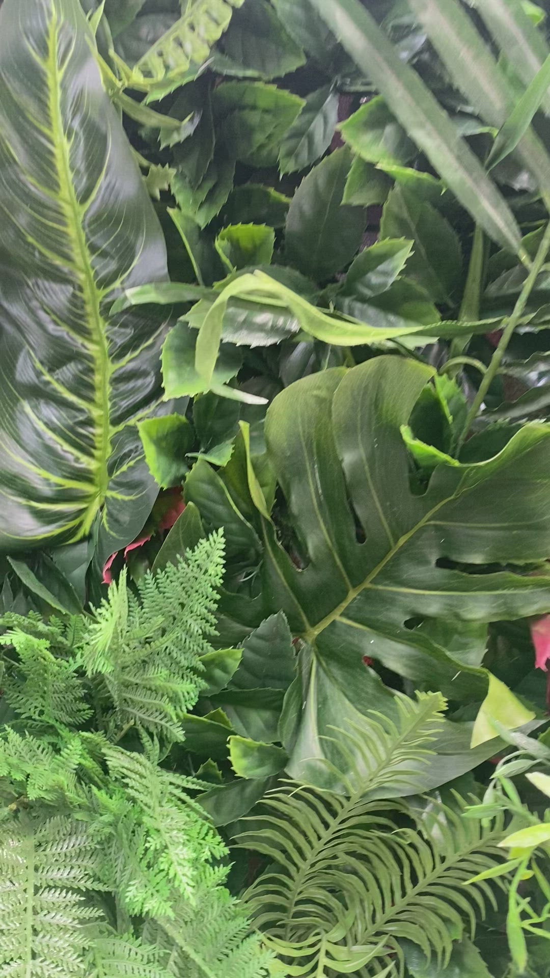 Stunning Tropical Wall