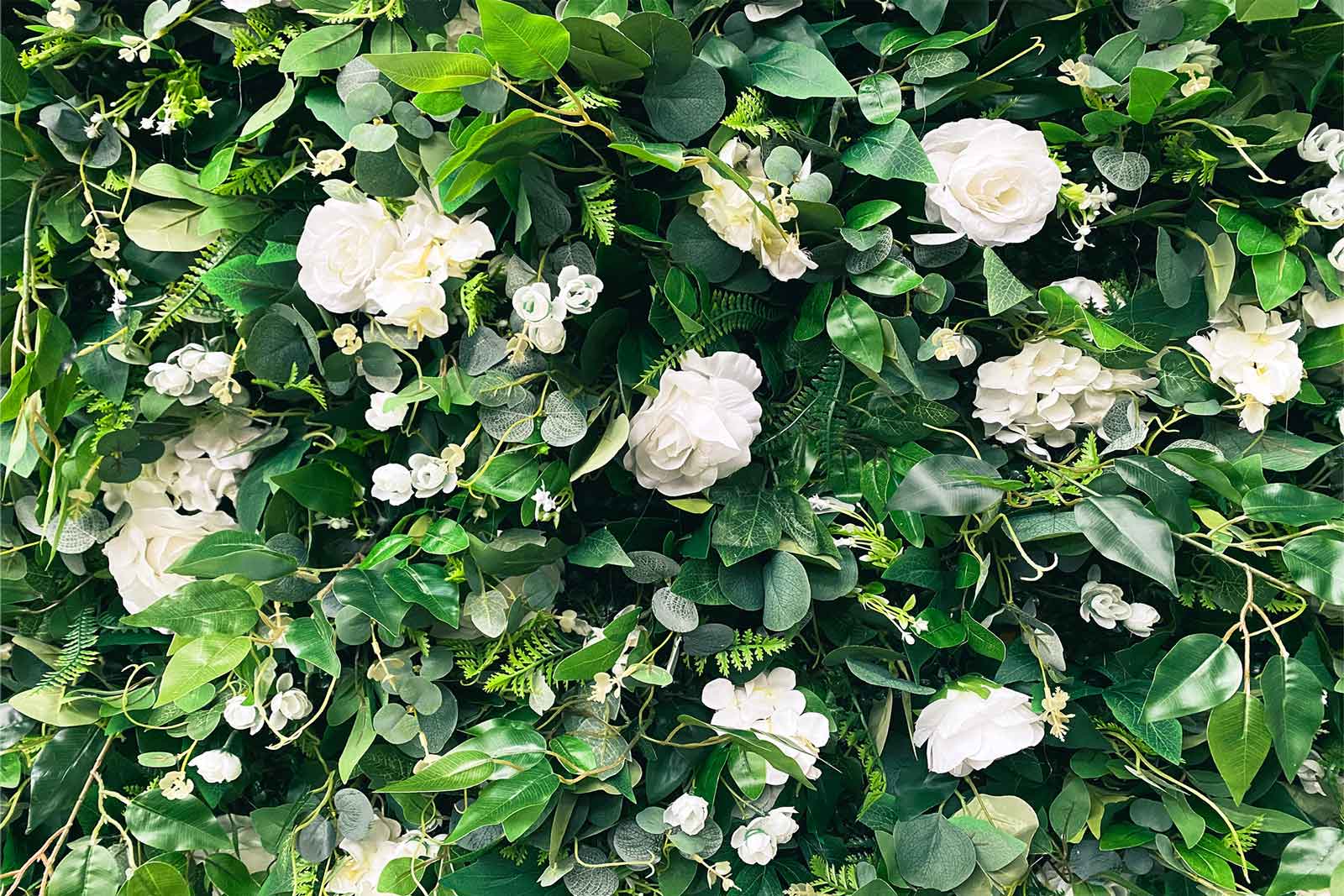 Flower wall backdrop for elegant events, social gatherings, and celebrations in Auckland NZ