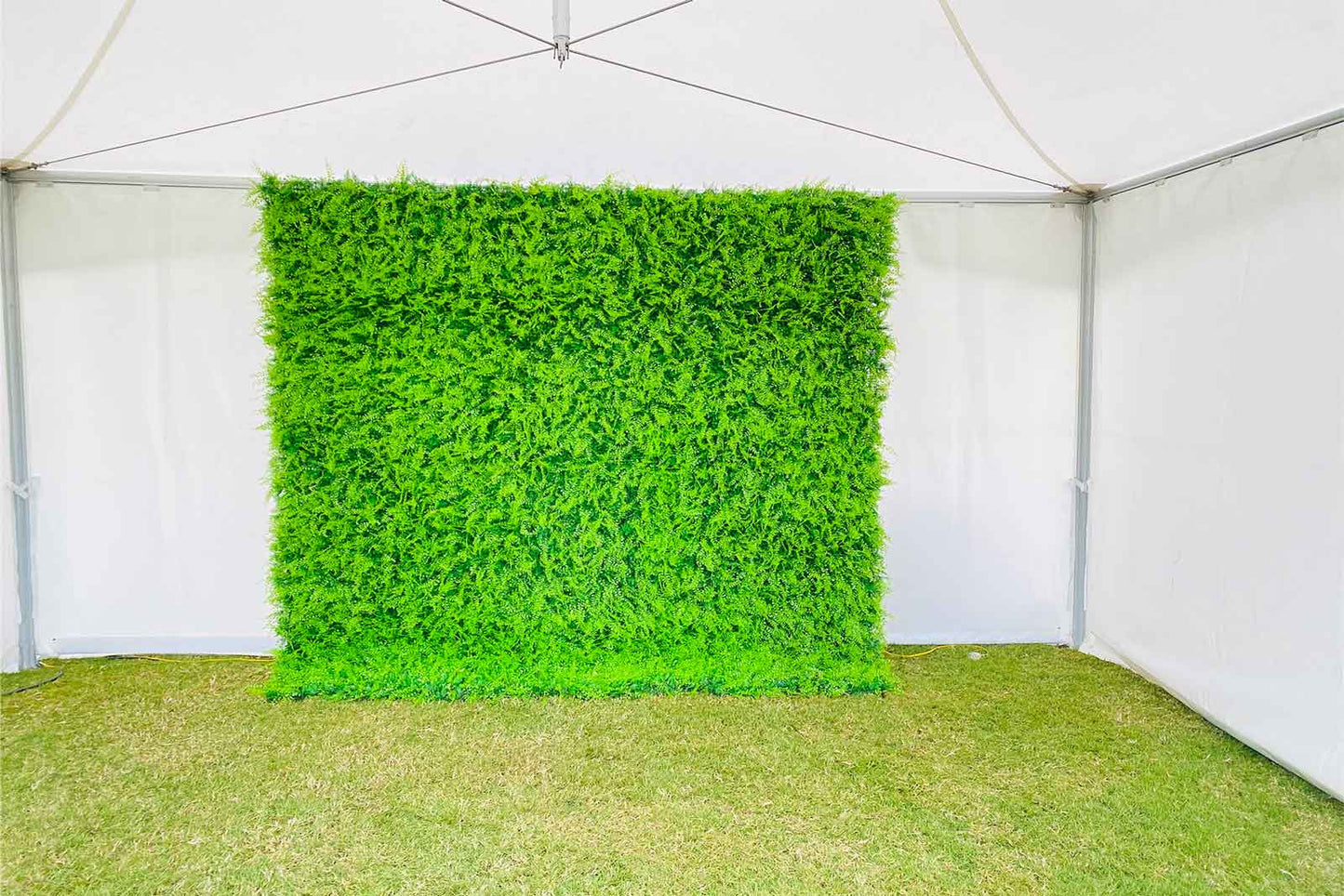 Luxury green wall hire NZ for weddings, corporate events, and celebrations