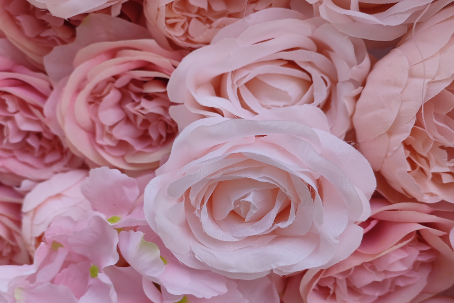 Stunning flower wall backdrop for all types of special occasions