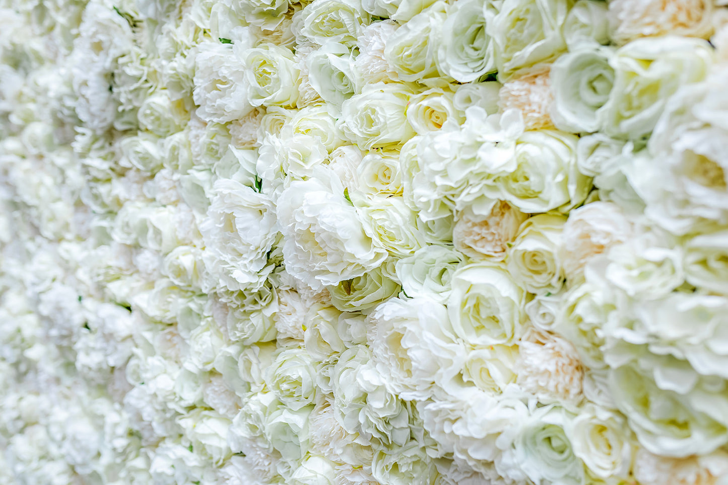 White floral wall backdrop for wedding photography and guest photos